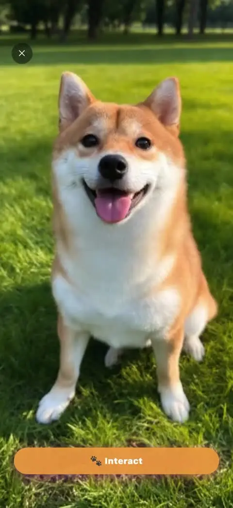 Example pet-companion app demonstration